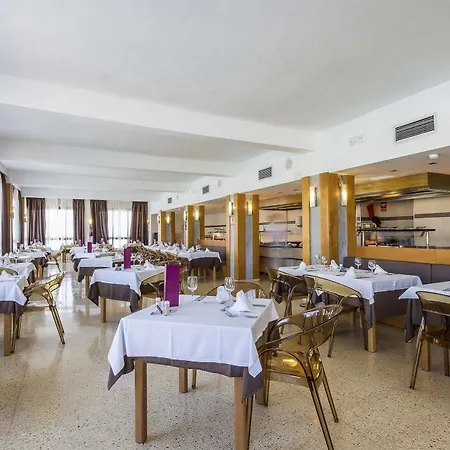 Palladium - Adults Only 4*